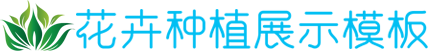 DG视讯平台手机版,DG视讯中文站入口
